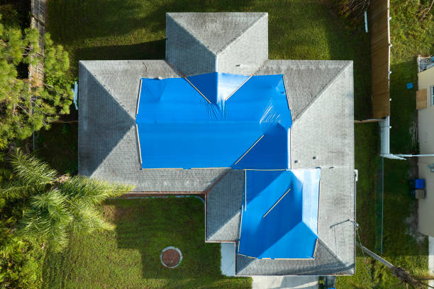 Best Metal Roofing Installation  in Wayland, IA