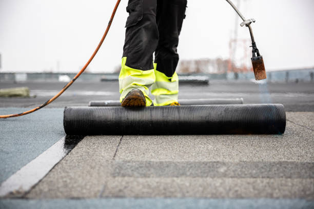 Best Cold Roofs  in Wayland, IA