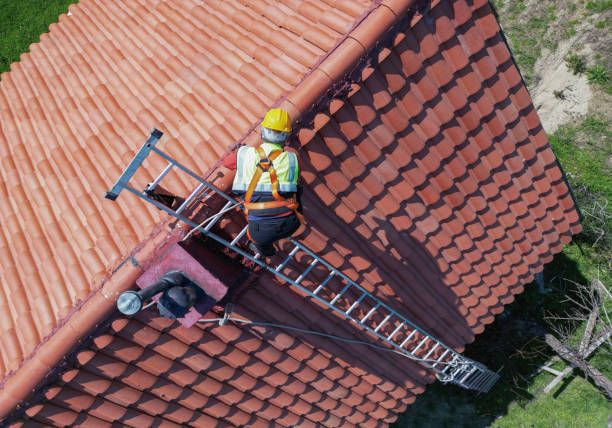 Best Storm Damage Roof Repair  in Wayland, IA