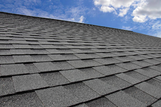 Best Siding  in Wayland, IA